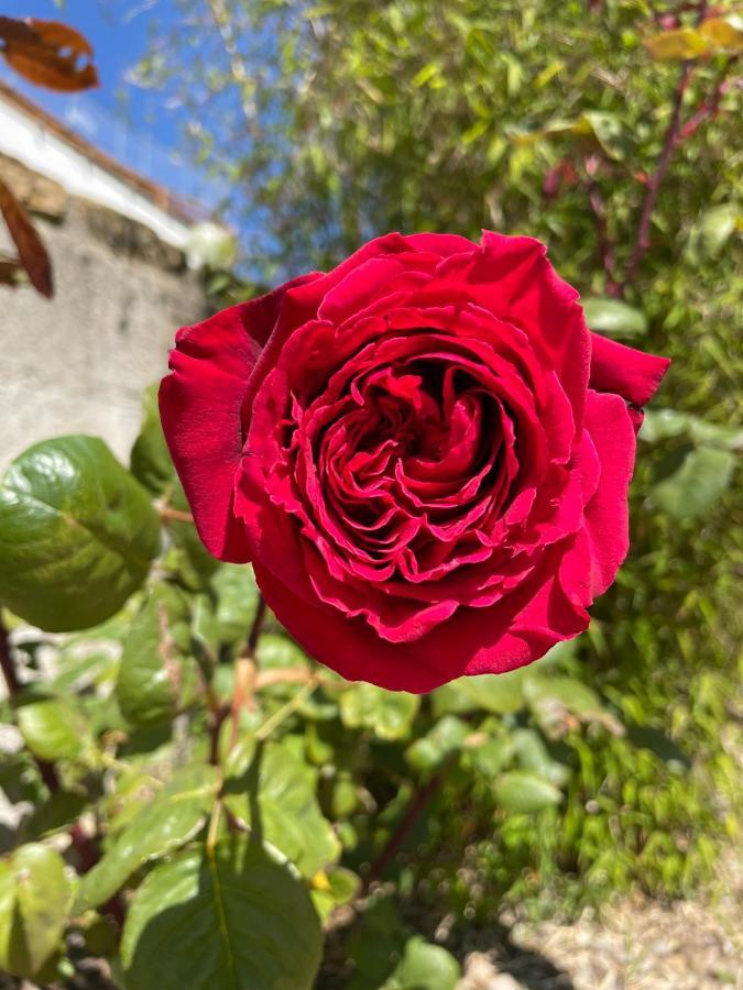 Chez Minh Thu Apartman Perros-Guirec Kültér fotó